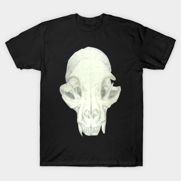 Kitten Skull T-Shirt by Art of V. Cook